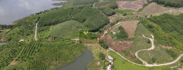 Đak Smar, Huyện KBang 100 triệu bán đất có diện tích quy ước 1050m2-02