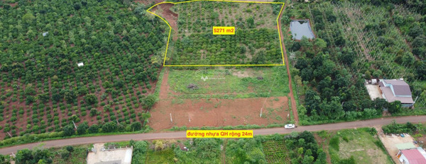 Vị trí thuận lợi tọa lạc trên Krông Năng, Đắk Lắk bán đất giá bán thỏa thuận 527 triệu Diện tích đất 5271m2-02