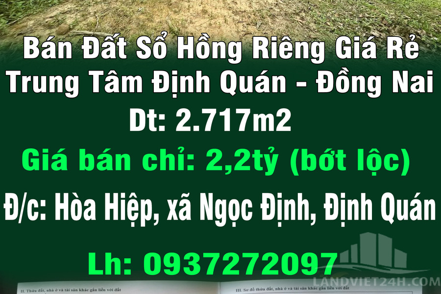 Chính chủ bán đất sổ hồng riêng giá rẻ trung tâm Định Quán-01