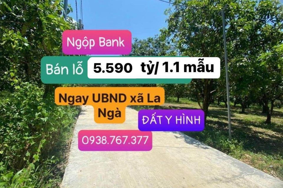 Cần bán đất Lâm Đồng, giá 5,59 tỷ-01