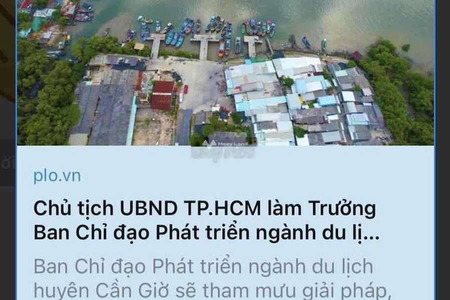 Bán lô đất đường Lý Nhơn, xã Lý Nhơn, Cần Giờ 4 tỷ-01