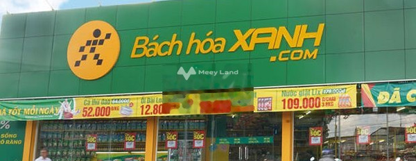 Giá mong muốn 1.2 tỷ bán đất diện tích rất rộng 100m2 ngay trên Nguyễn Văn Ni, Hồ Chí Minh-02