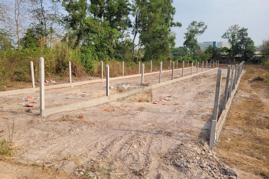 Xóm Mới, Thanh Phước bán đất giá bán siêu khủng 850 triệu có diện tích trung bình 250m2-01