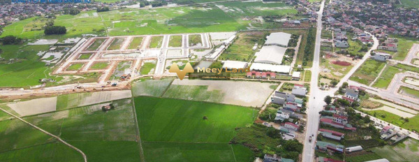 Đông Khê, Thanh Hóa 1,9 tỷ bán đất, hướng Đông Nam diện tích chuẩn là 126 m2-02