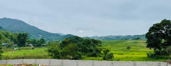 Cần bán đất thổ cư tại Cao Phong, Hòa Bình. Diện tích 1800m2, giá 1,9 tỷ-03