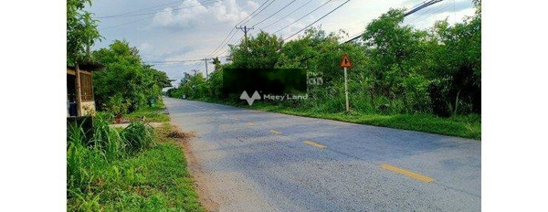 Nguyễn Thị Lắng, Hồ Chí Minh 1.35 tỷ bán đất diện tích rộng rãi 123m2-02