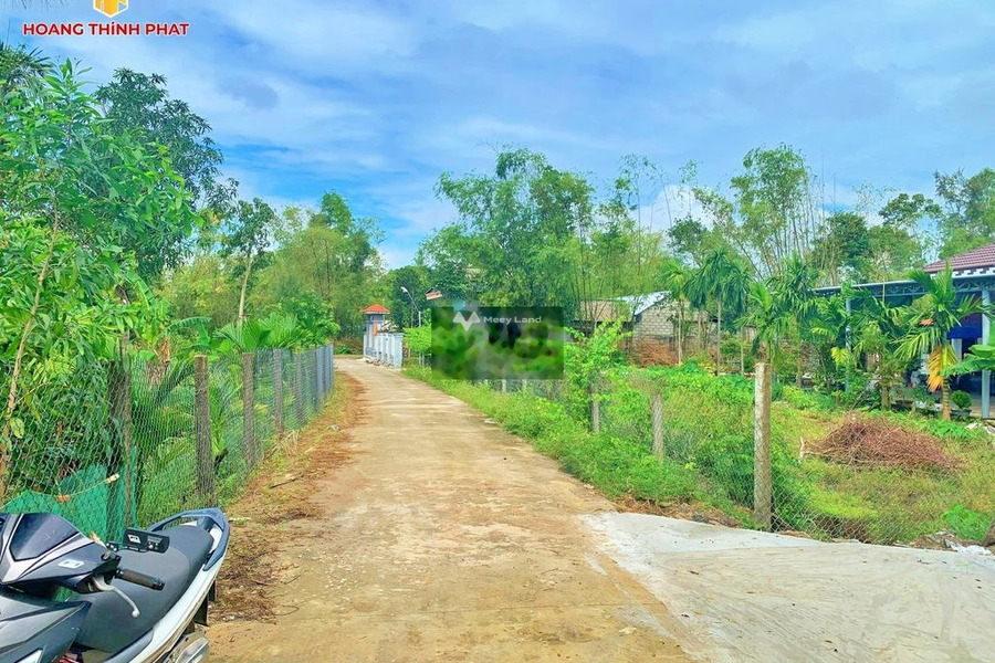 Giá cực ưu đãi 330 triệu bán đất với diện tích rộng 102m2 mặt tiền nằm ngay tại Phú Vang, Thừa Thiên Huế-01