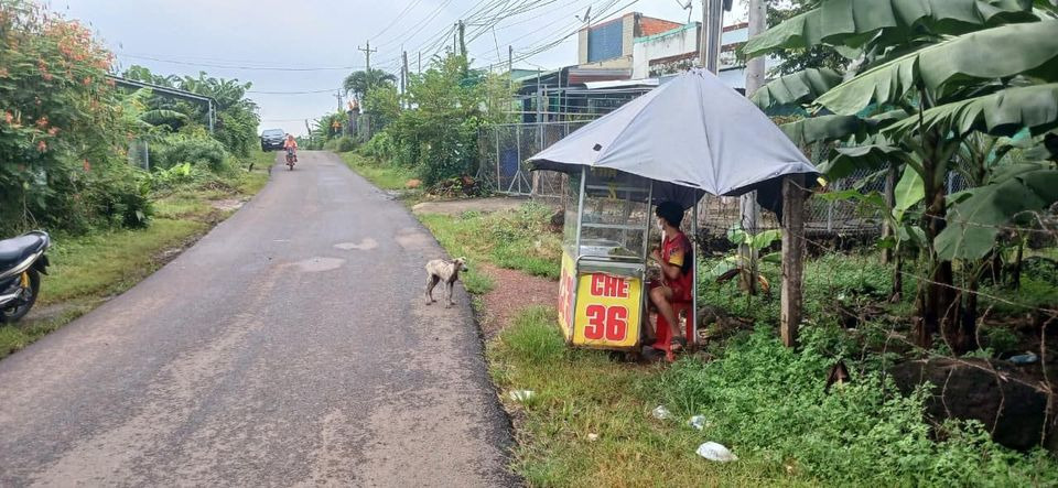 Cần bán nhà riêng Quận 10, Hồ Chí Minh