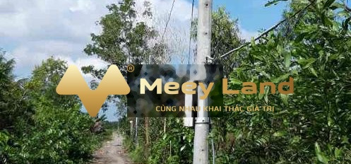 Phước Khánh, Nhơn Trạch 2.3 tỷ bán đất diện tích chuẩn 1000m2-02