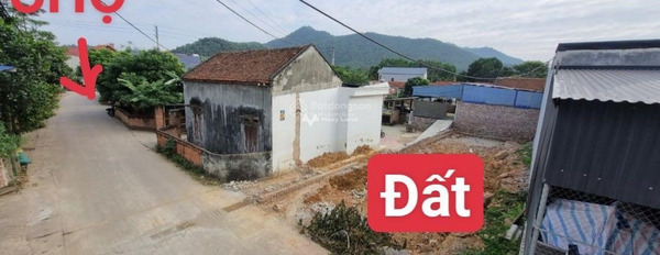Bán đất diện tích 129m2 tại Nam Sơn, Hà Nội-02
