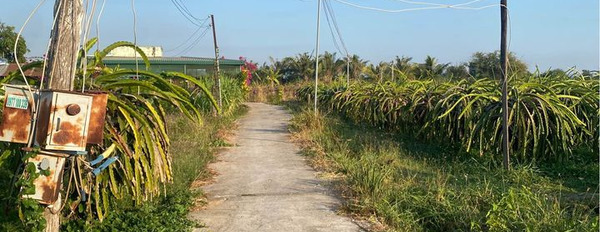 Cần bán đất vườn tại Hàm Thuận Bắc, tỉnh Bình Thuận-03