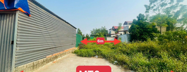 Bán mảnh đất tại Đường 419, Tân Xã. Diện tích 1719m2-02