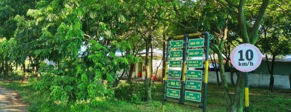Vị trí mặt tiền ở Xã Tân Xuân, Tỉnh Bình Thuận bán trang trại giá siêu tốt 30 tỷ dt gồm 49705 m2-03