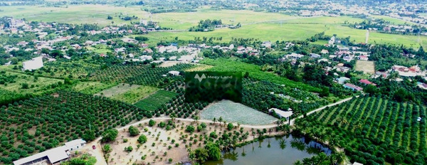Suối Tiên, Diên Khánh bán đất giá bán hợp lý 440 triệu, hướng Đông Bắc diện tích sàn là 600m2-03