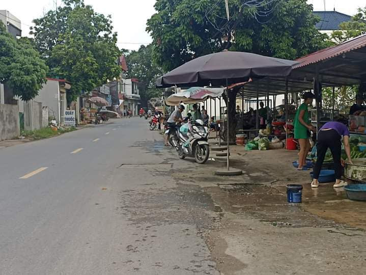 Bán đất huyện Sóc Sơn thành phố Hà Nội giá 26.0 triệu/m2-0