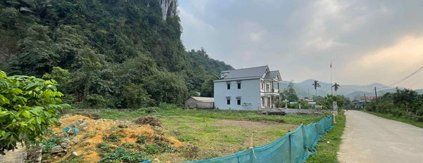 Bán 666m2 đất tại Cao Răm, Lương Sơn, Hòa Bình. Giá bán hơn 1 tỷ-02