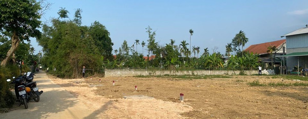Cần bán nhà riêng huyện Quảng Điền, Thừa Thiên Huế, giá 450 triệu-03