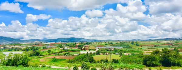 Bán đất view sông Đa Nhim diện tích 500m2 hạ tầng đầy đủ-03