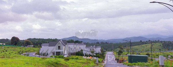 390 triệu bán đất có diện tích chuẩn 298m2 vị trí mặt tiền ngay ở Đường Số 8, Lâm Đồng-02