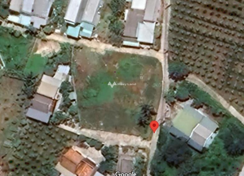 1.49 tỷ bán đất có diện tích là 2505m2 vị trí mặt tiền nằm tại Phong Nẫm, Phan Thiết, hướng Đông-01