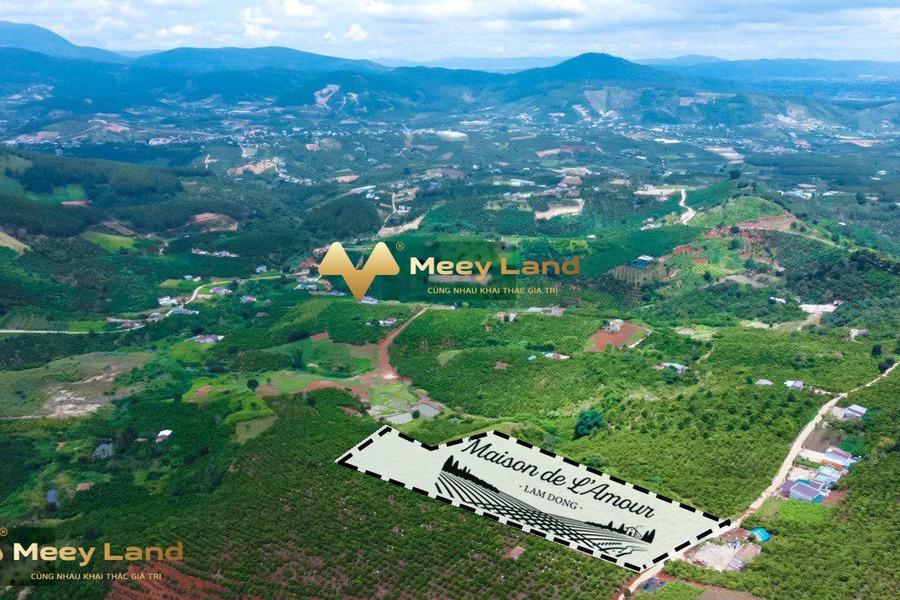 Cần tiền ra đi gấp bán mảnh đất, 200 m2 giá chốt nhanh từ 539 triệu vị trí thích hợp Lâm Hà, Lâm Đồng lh tư vấn thêm-01