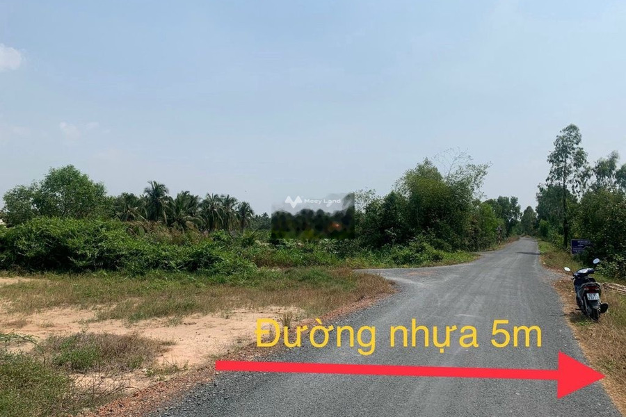 Giá bán tốt 950 triệu bán đất với diện tích chuẩn 176m2 vị trí nằm ngay ở Thủ Thừa, Long An-01