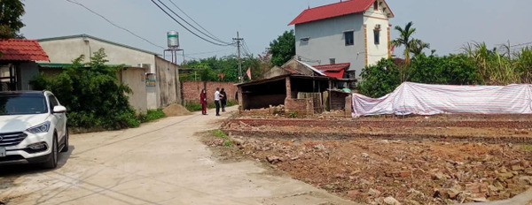 Cần chuyển nhượng lô đất 76m2 tại xã Tân Minh, Sóc Sơn, Hà Nội-03