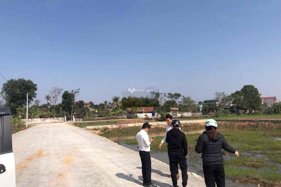 Vị trí đặt tại Yên Lạc, Yên Định bán đất giá bán mềm từ 590 triệu diện tích gồm 125m2-01