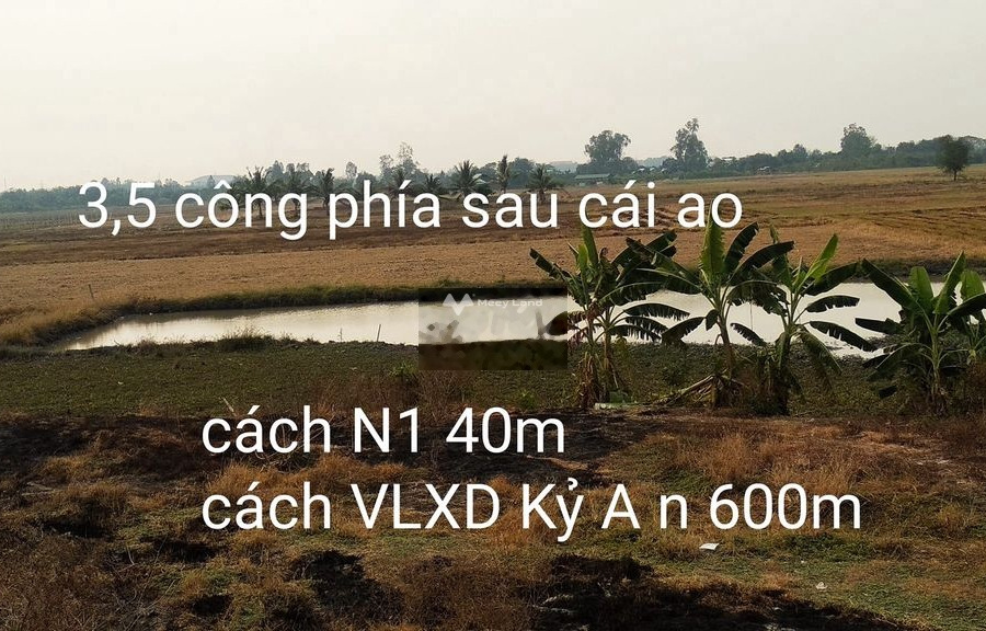 2.8 tỷ bán đất diện tích tổng là 3500m2 ngay ở Châu Phú B, An Giang-01