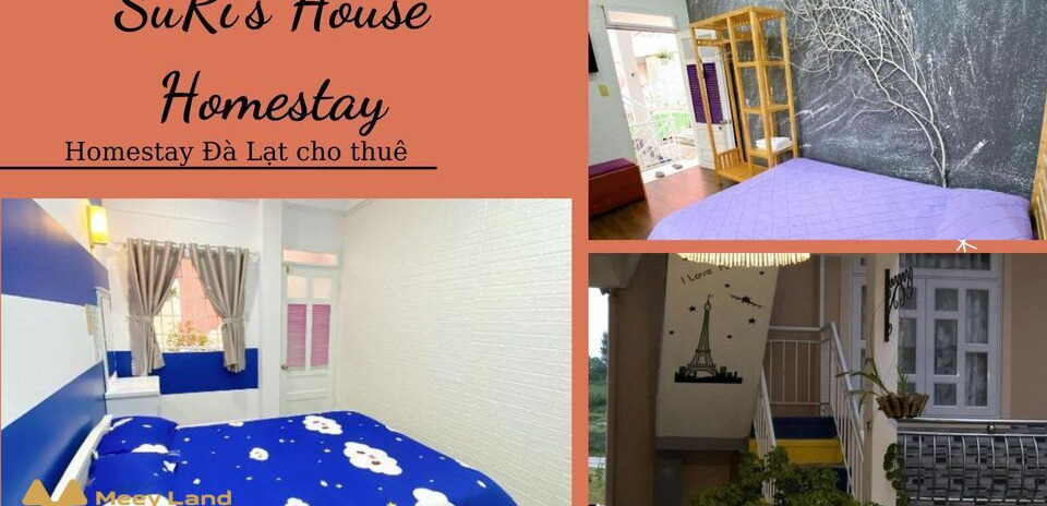 Cho thuê phòng SuRi’s House Homestay, Bùi Thị Xuân, Phường 2, thành phố Đà Lạt