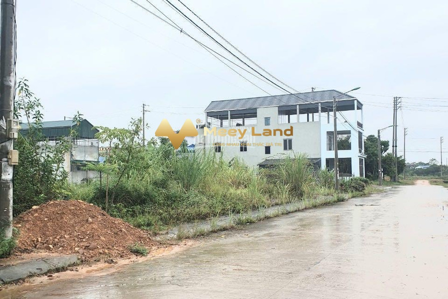 Vị trí đặt ngay ở Đường Bắc Sơn, Xã Quyết Thắng bán đất, giá bán cực mềm từ 4,65 tỷ, 300 m2-01