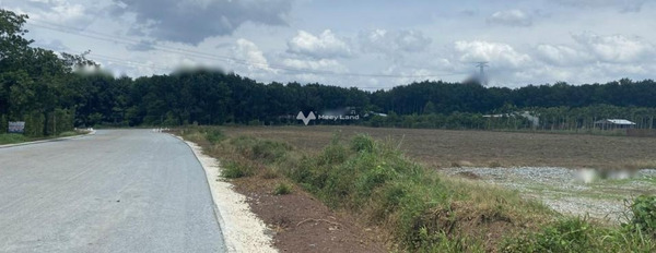Nằm ngay Minh Lập, Bình Phước bán đất giá siêu rẻ 450 triệu với diện tích là 300m2-03