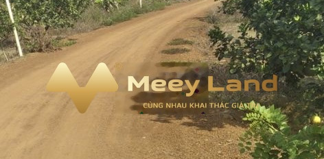 Huyện Trảng Bom, Tỉnh Đồng Nai bán đất giá giao động từ 161 triệu diện tích chung quy 120 m2-03