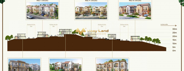 Bán liền kề 200m2 Xuyên Mộc, Bà Rịa-Vũng Tàum giá 25 tỷ-03