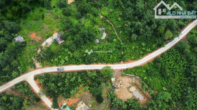 Vị trí thuận lợi gần Xuân Trường, Lâm Đồng bán đất giá bán đề cử từ 11.5 tỷ diện tích rộng 5600m2, với lộ mặt tiền ngang 7 m-01