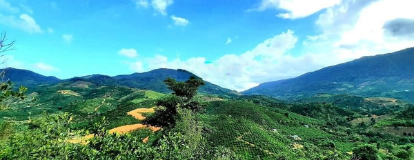 Đất có mặt tiền đường lộ nhựa dài hơn 200m. View đẹp, gần suối. Sổ hồng riêng. 0909 770 *** -02