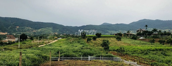 Bán đất 970 triệu Đông Thanh, Lâm Đồng có diện tích chung 123m2-03