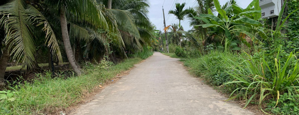 Đất vườn dừa Phong Nẫm, Giồng Trôm cách Uỷ ban, chợ Phong Nẫm 1km-03