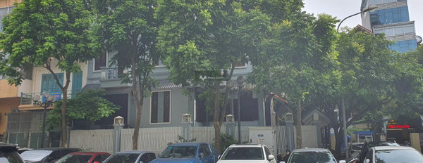 Cần bán biệt thự Bên trong Phạm Hùng, Nam Từ Liêm, có diện tích thực 201m2 không sợ ngập nước-03