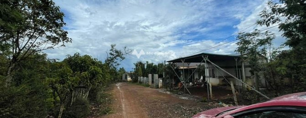 Bán đất 390 triệu Dray Bhăng, Cư Kuin với diện tích khoảng 180m2, với mặt lộ 5 mét-02
