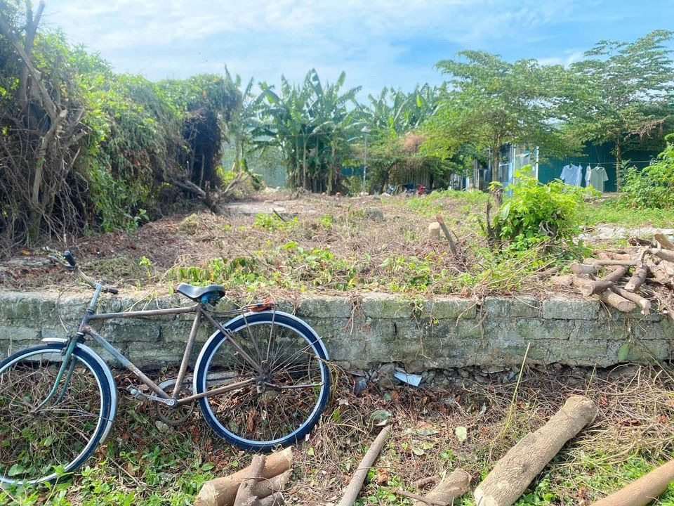 Bán đất huyện Hòa Vang thành phố Đà Nẵng giá 250.0 triệu-4