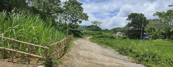 Phú Cường, Tân Lạc bán đất giá bán 399 triệu diện tích thực khoảng 850m2-02