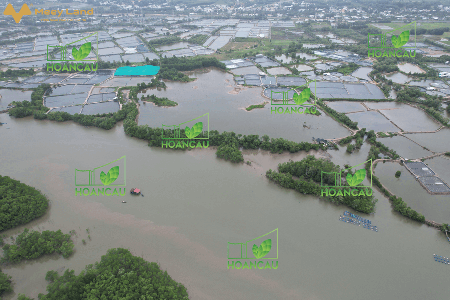 10 hecta đất giáp sông lớn tại Nhơn Trạch, thích hợp lập dự án, chăn nuôi thuỷ sản-01