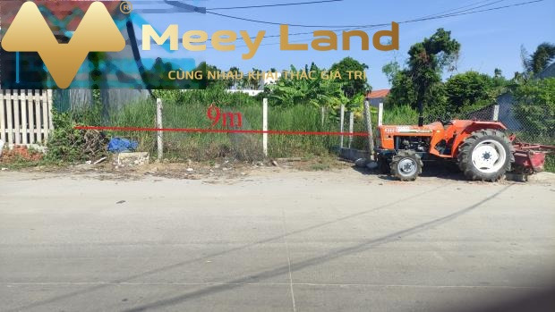 Cần tiền mặt khẩn trương bán mảnh đất, 196 m2 giá bán chốt nhanh từ 3 tỷ ngay tại Nghĩa Điền, Tư Nghĩa vị trí tốt-01