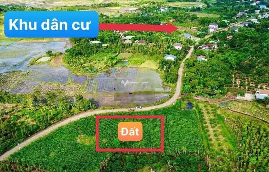 Tại Cư Kuin, Đắk Lắk bán đất 197 triệu diện tích sàn là 200m2-01