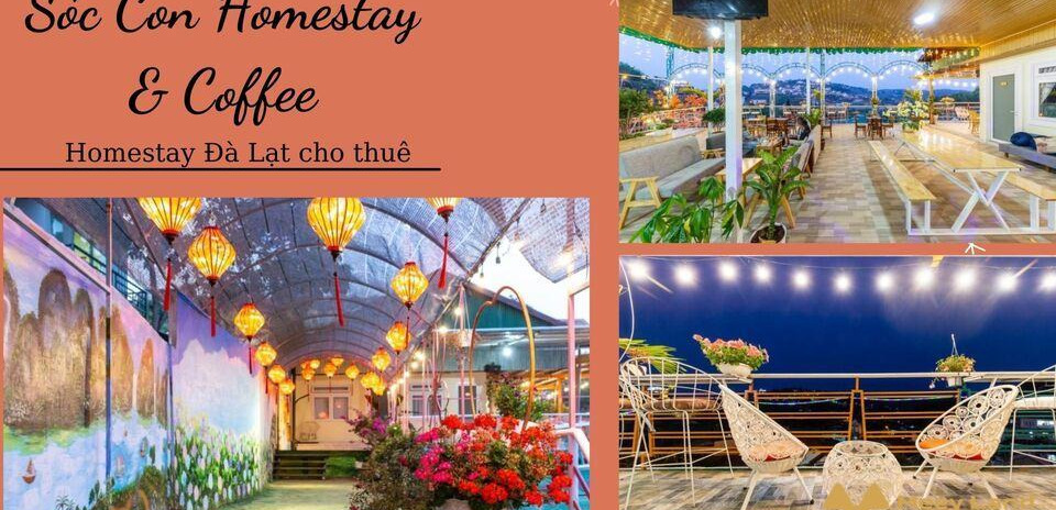 Cho thuê Sóc Con Homestay & Coffee