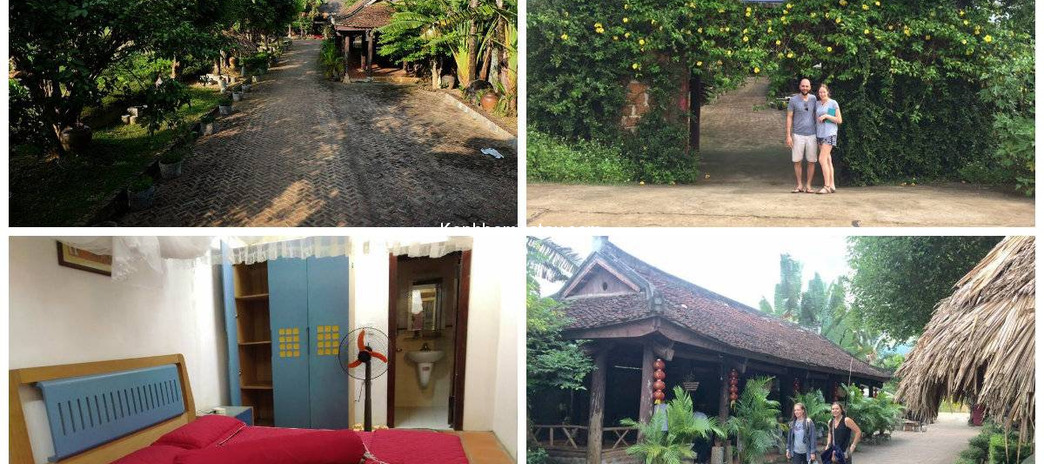 Long Việt 2 Homestay