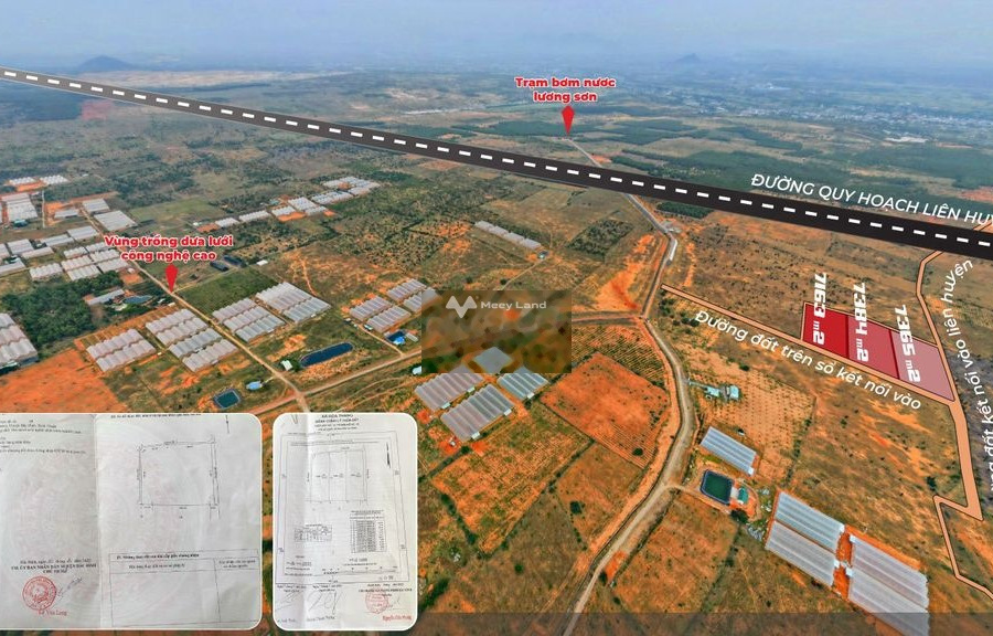 Nằm trong mức 5.5 tỷ bán đất có diện tích 21900m2 vị trí đẹp tọa lạc ở Bắc Bình, Bình Thuận-01