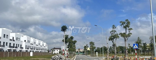 Bán đất 1 triệu Đậu Liêu, Hồng Lĩnh với diện tích tiêu chuẩn 170m2-02