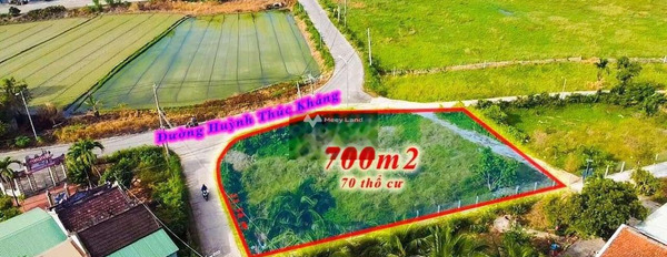 Khoảng 2.98 tỷ bán đất tổng diện tích 350m2 vị trí mặt tiền ngay ở Huỳnh Thúc Kháng, Diên Khánh-02